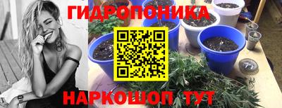2c-b Кулебаки
