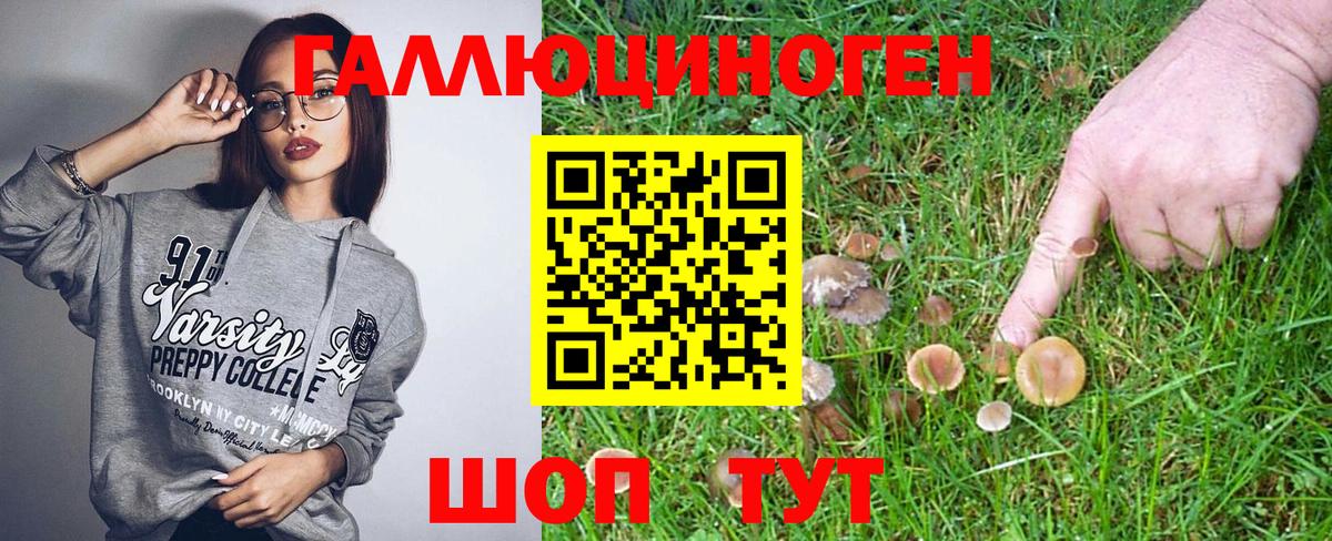 Железноводск  Псилоцибиновые грибы мицелий  Псилоцибиновые грибы Psilocybe  купить наркотики цена  Вход с VPN 
